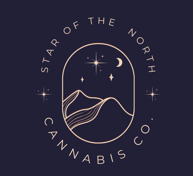 Star of the North Logo