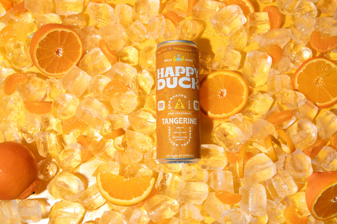 THC Infused Tangerine Seltzer | 5mg | 4 pack